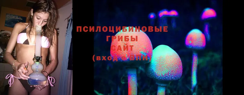 mega ССЫЛКА  Рославль  Галлюциногенные грибы MAGIC MUSHROOMS 